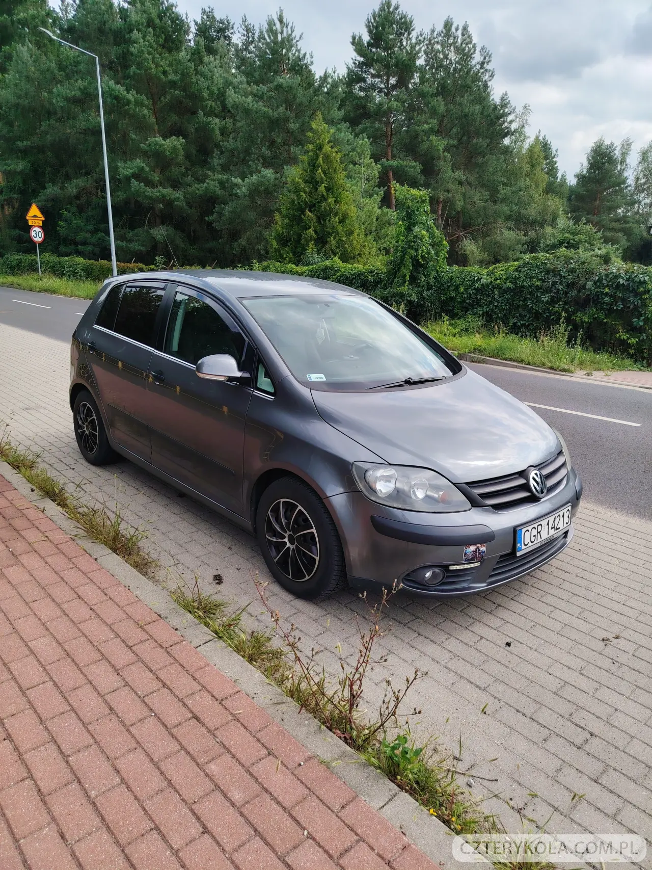 Volkswagen- Golf Plus- 2006 