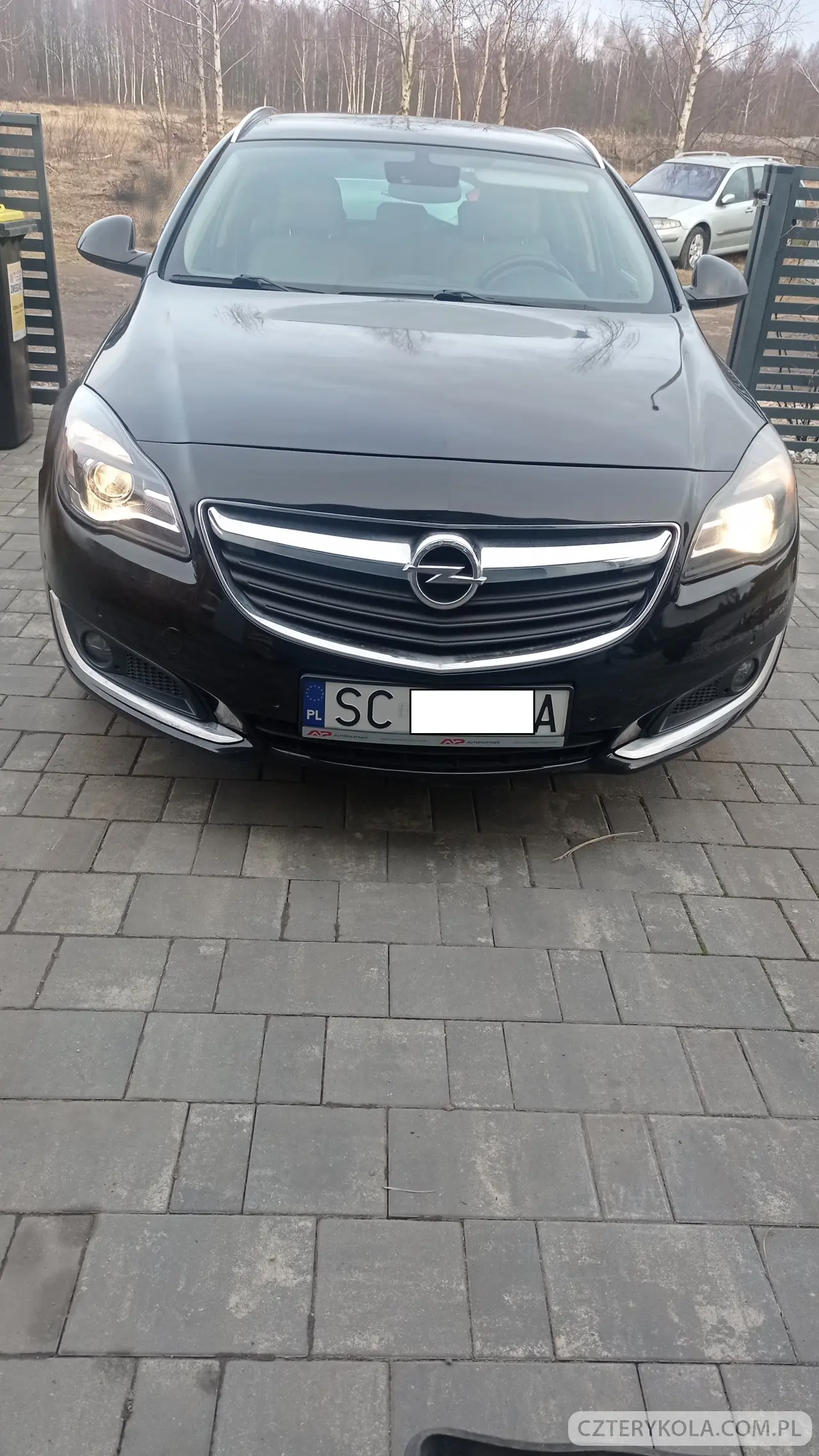 Opel- Insignia- 2017 