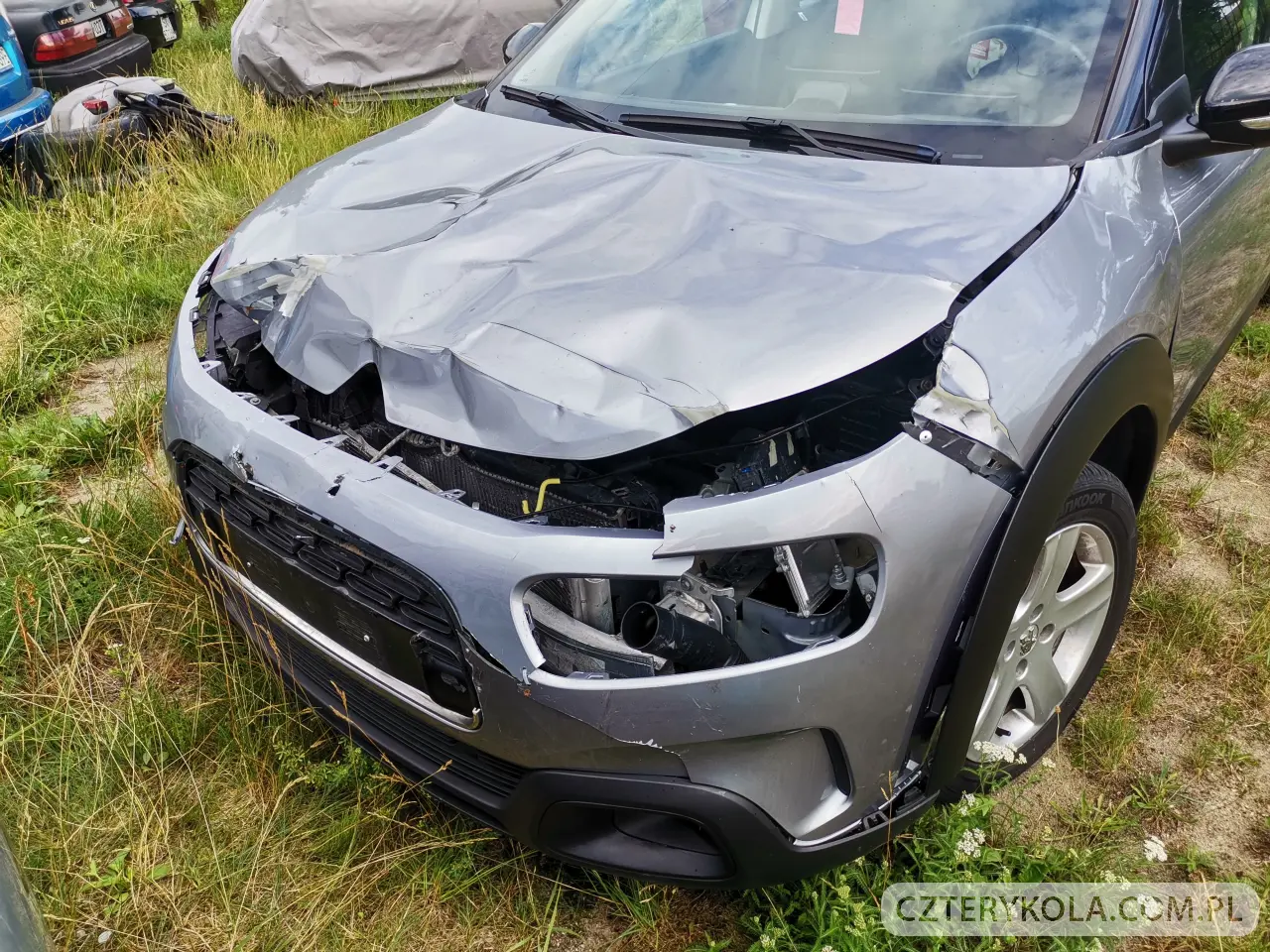 Citroen- C4 Cactus- 2019 