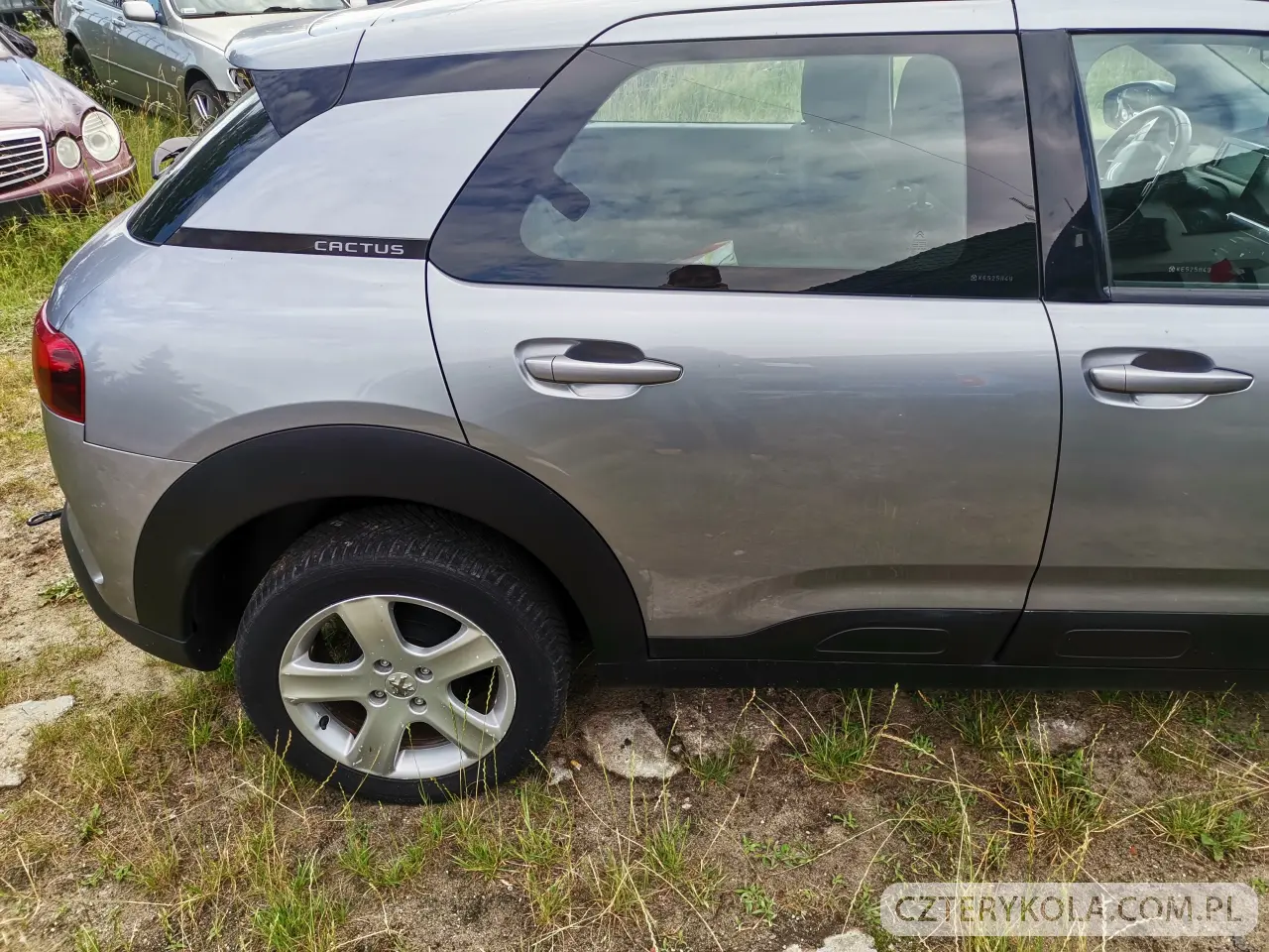 Citroen- C4 Cactus- 2019 