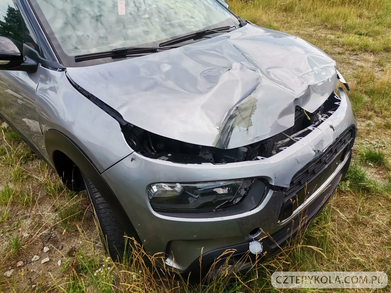 Citroen- C4 Cactus- 2019 