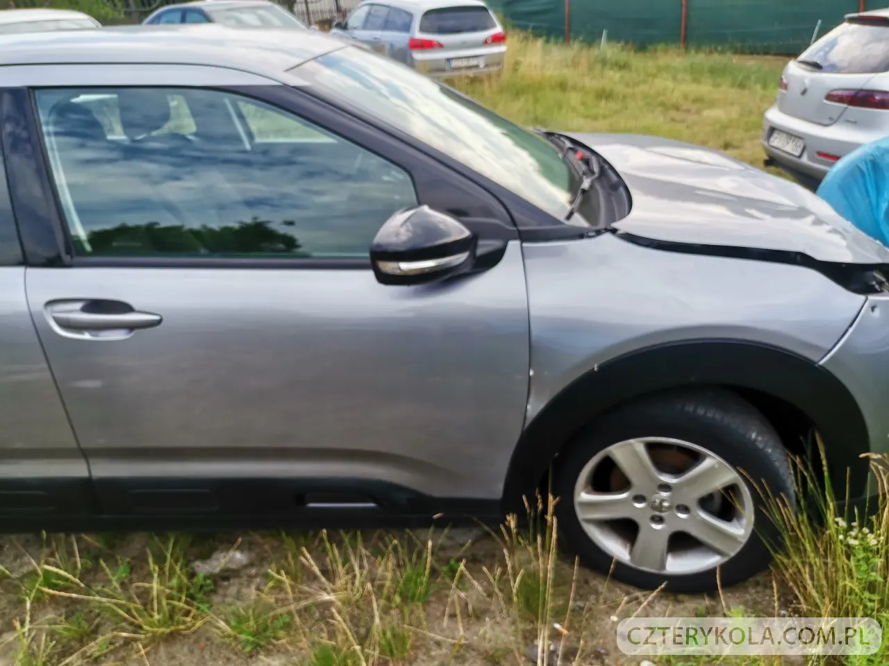 Citroen- C4 Cactus- 2019 
