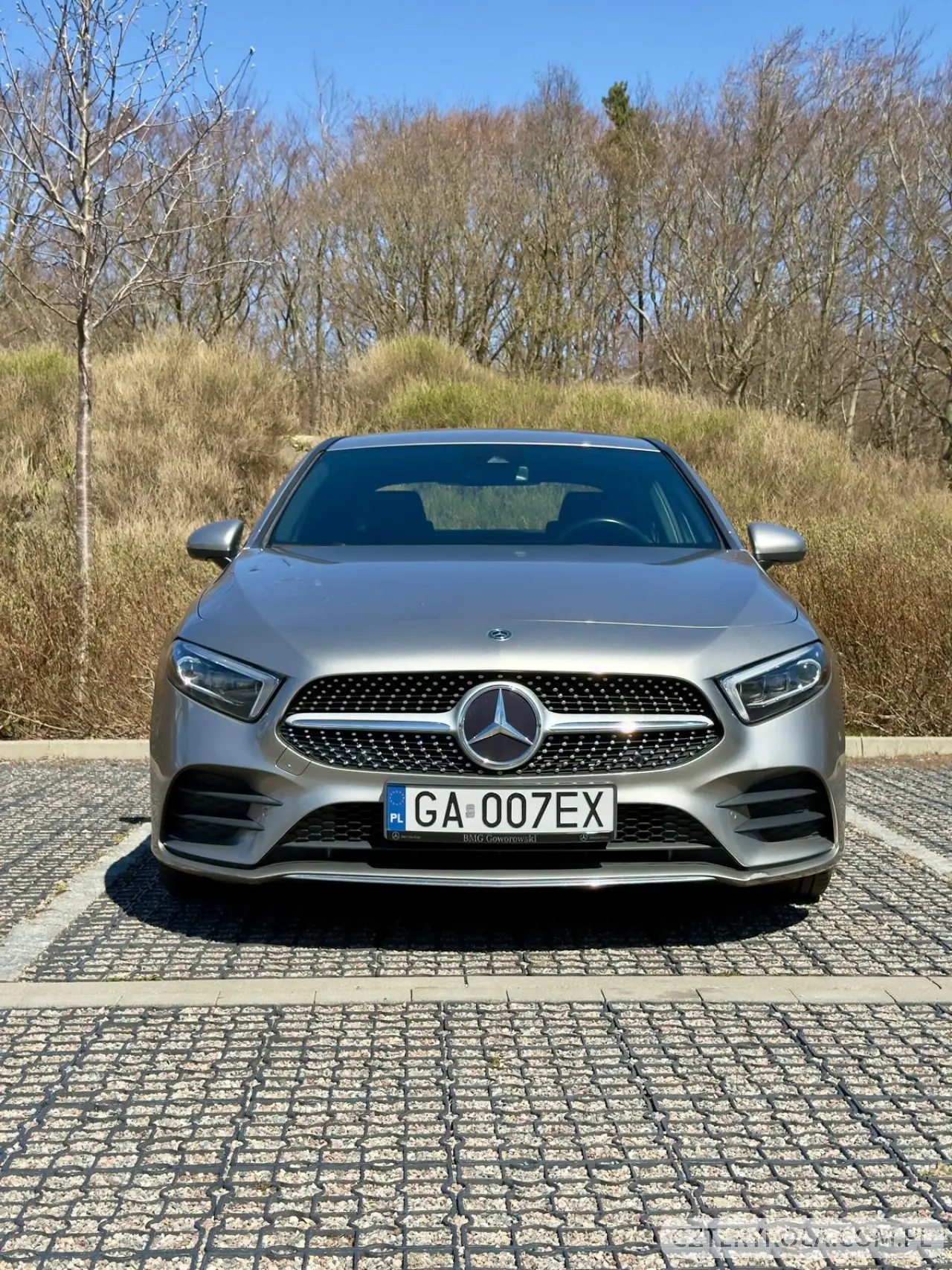 Mercedes-Benz- A-Class- 2019 