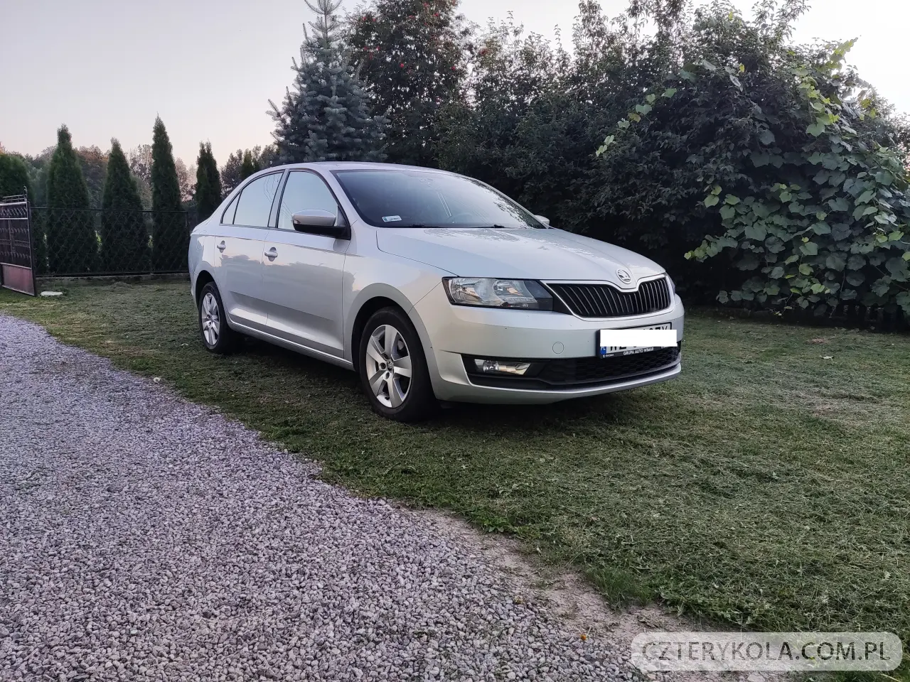 Skoda- Rapid- 2019 