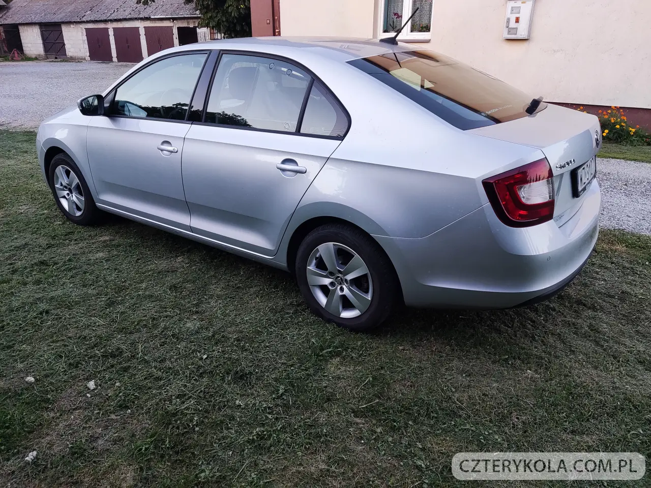 Skoda- Rapid- 2019 