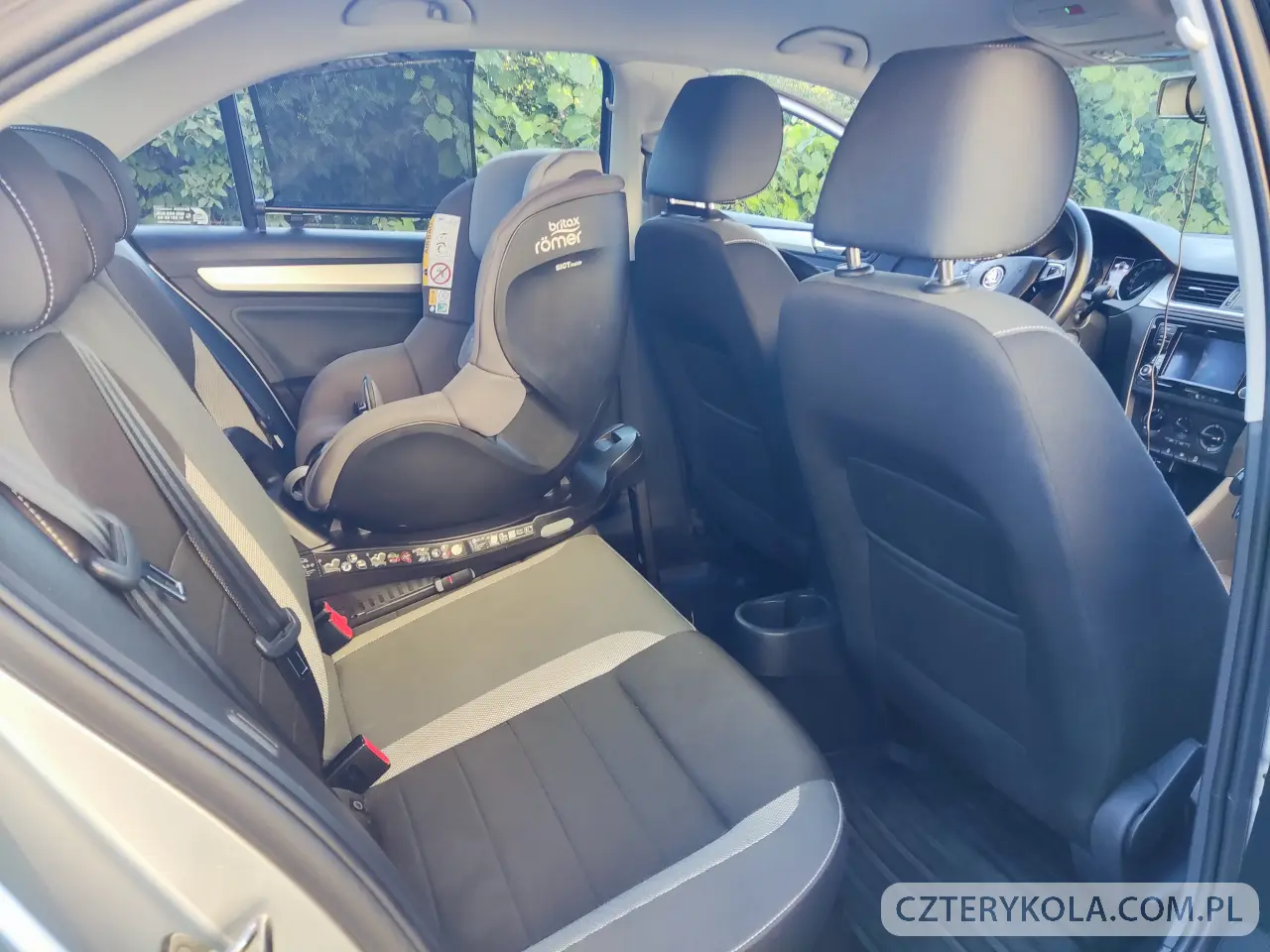Skoda- Rapid- 2019 