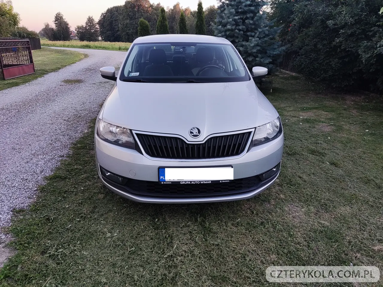 Skoda- Rapid- 2019 