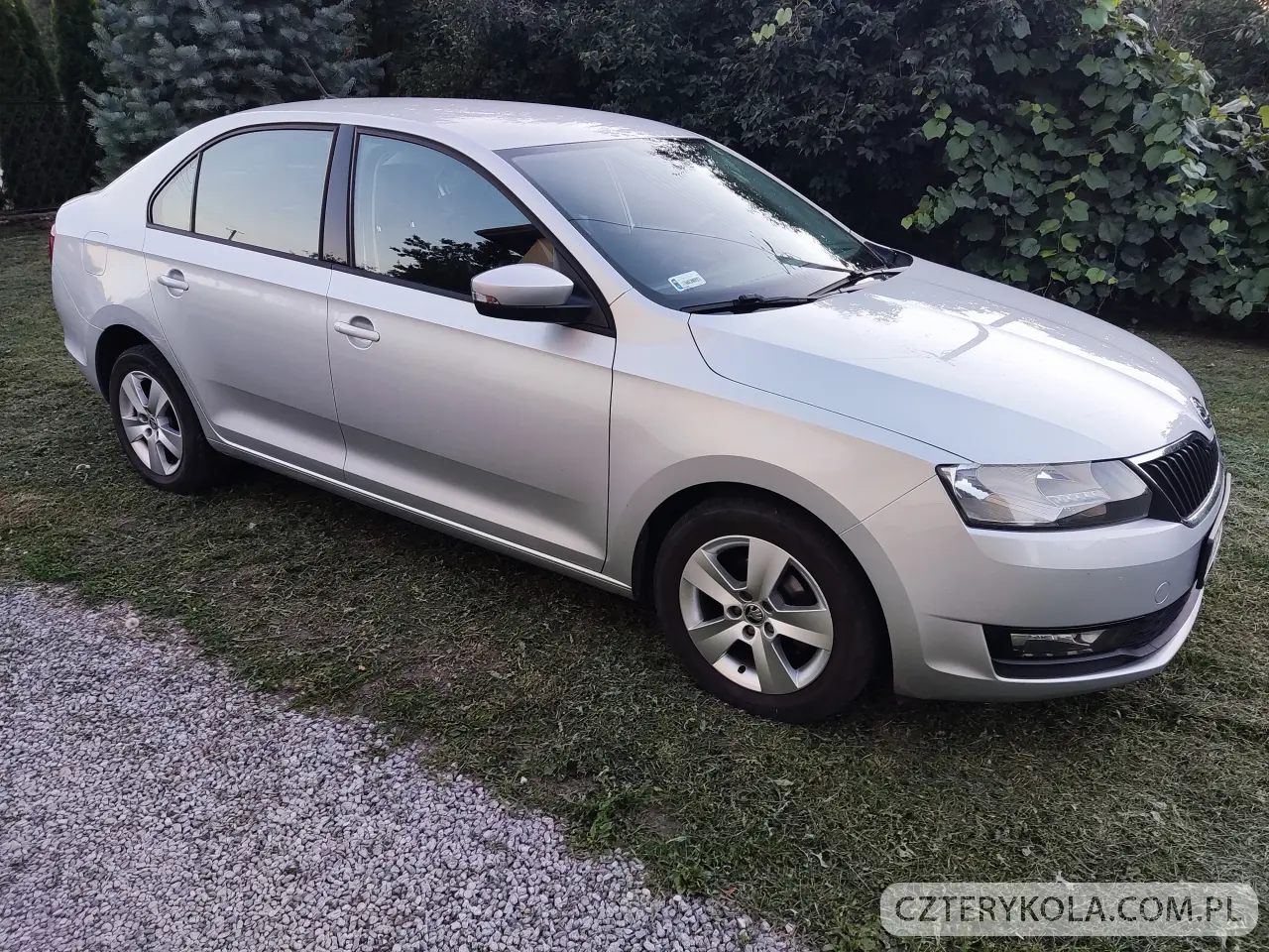Skoda- Rapid- 2019 