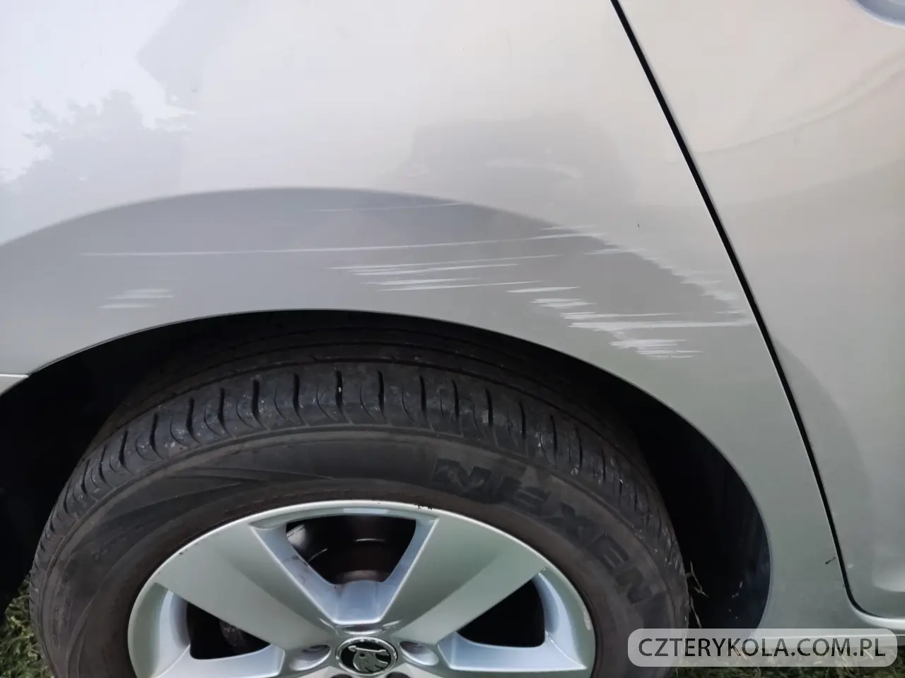 Skoda- Rapid- 2019 
