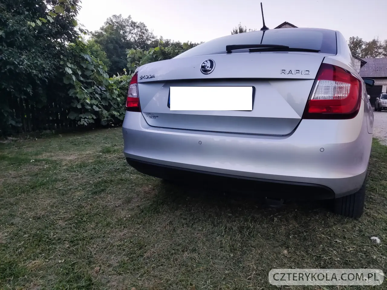 Skoda- Rapid- 2019 