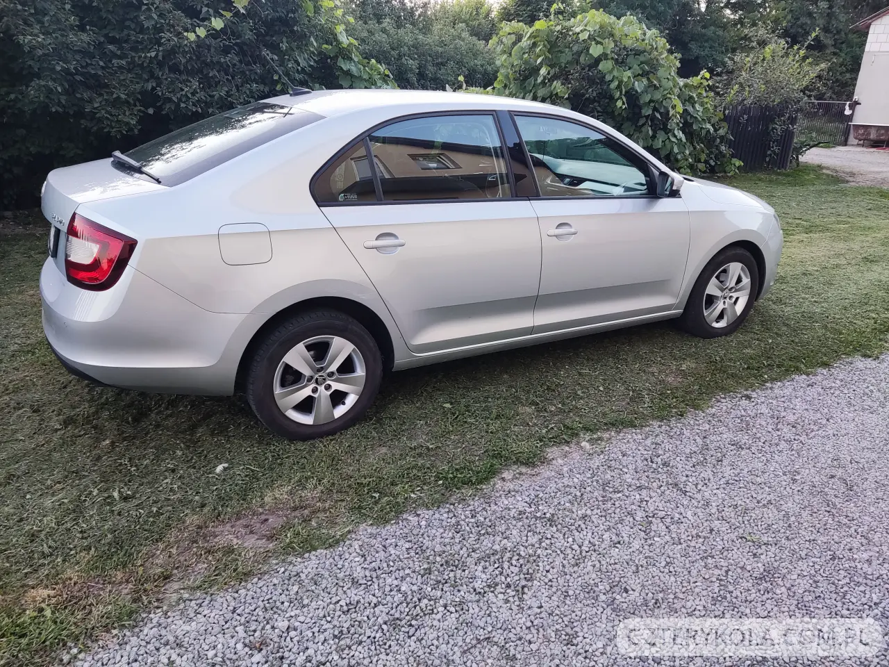 Skoda- Rapid- 2019 