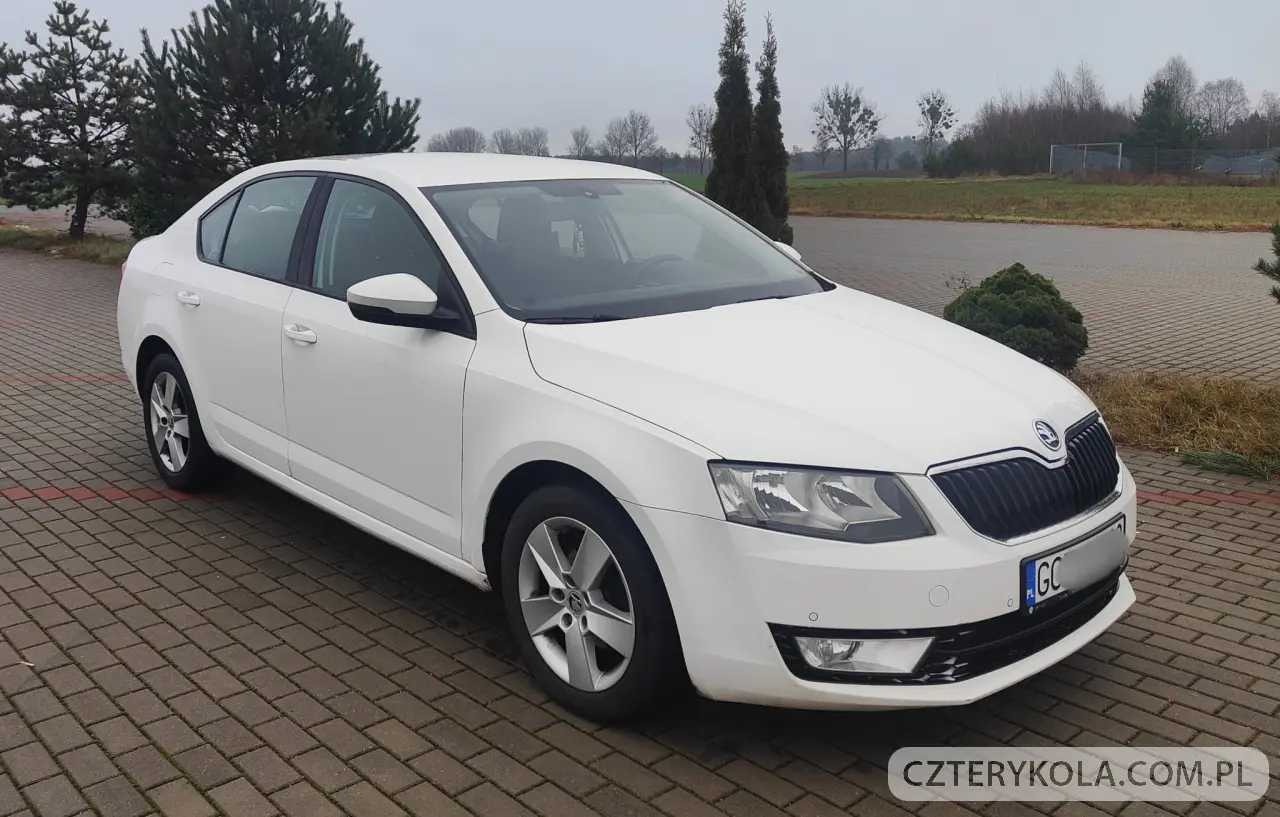Skoda- Octavia- 2016 