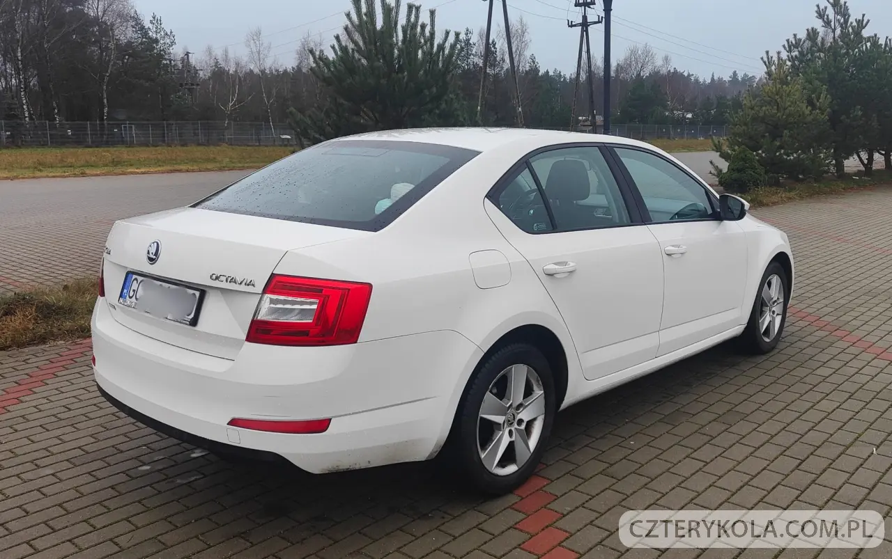 Skoda- Octavia- 2016 