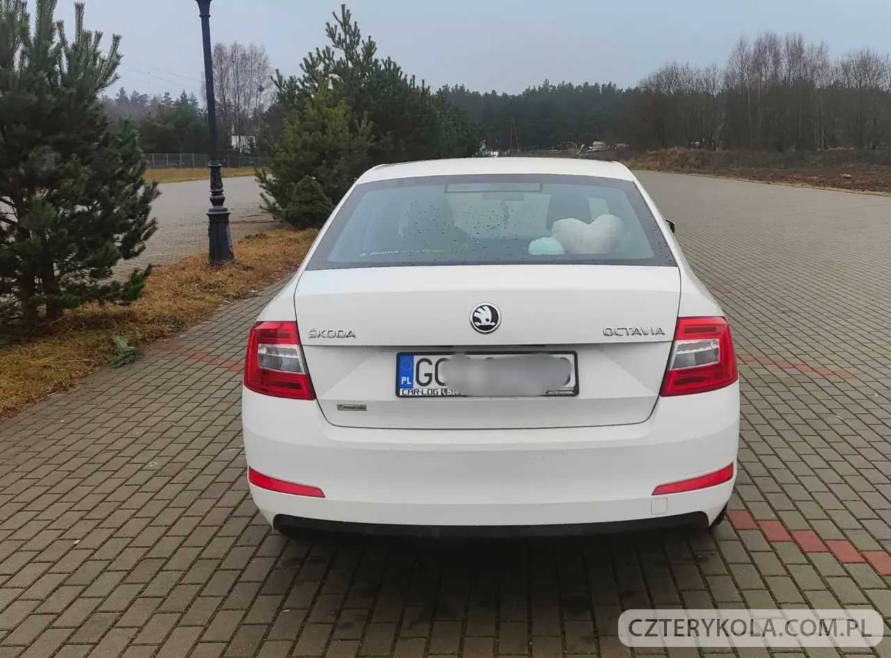 Skoda- Octavia- 2016 