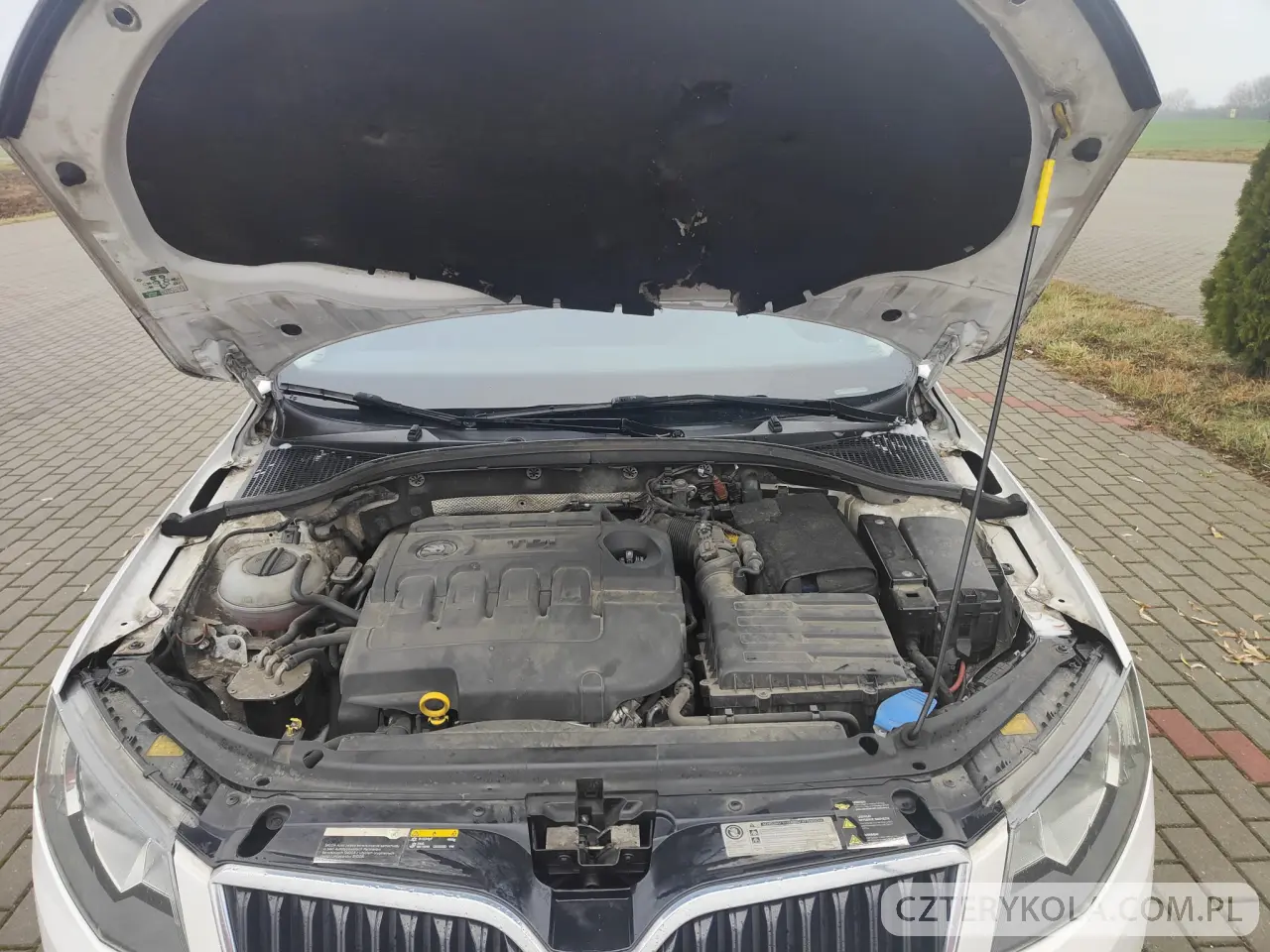 Skoda- Octavia- 2016 