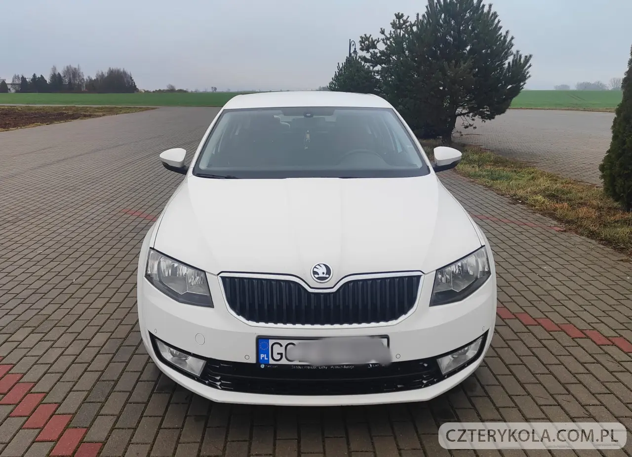 Skoda- Octavia- 2016 