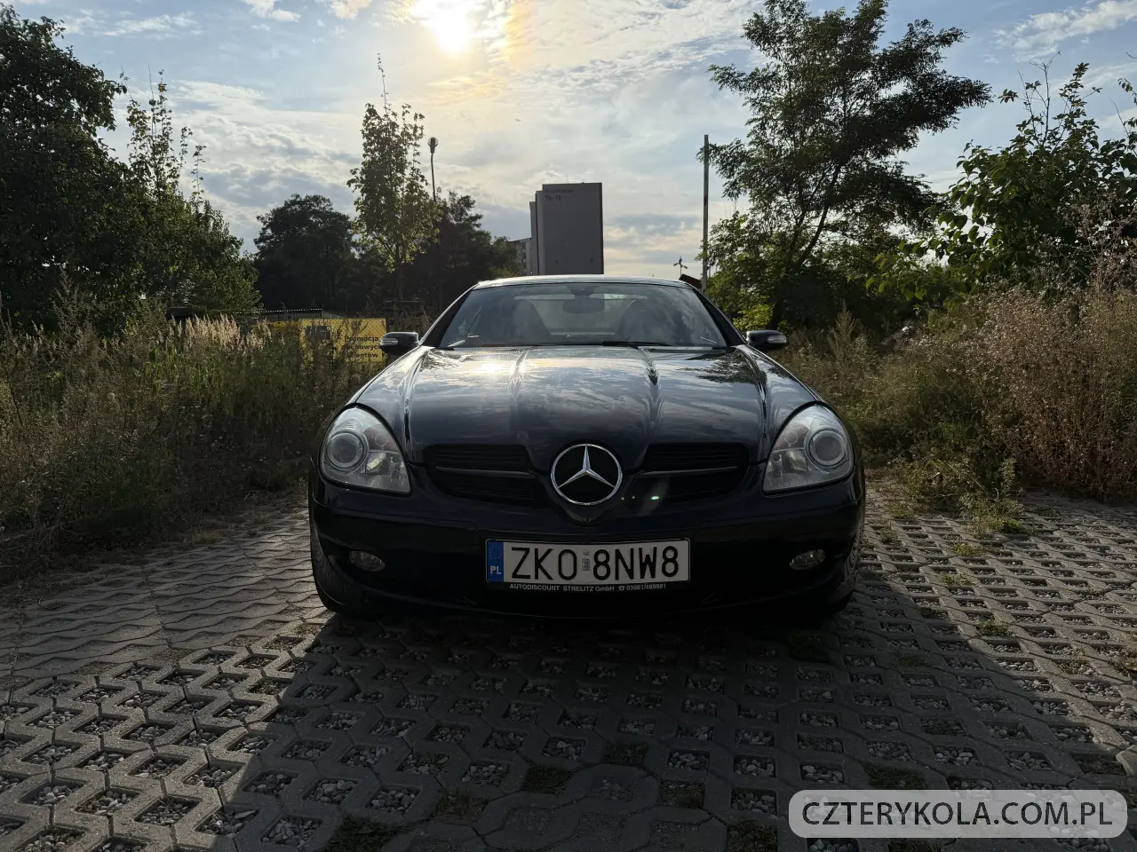 Mercedes-Benz- SLK- 2004 