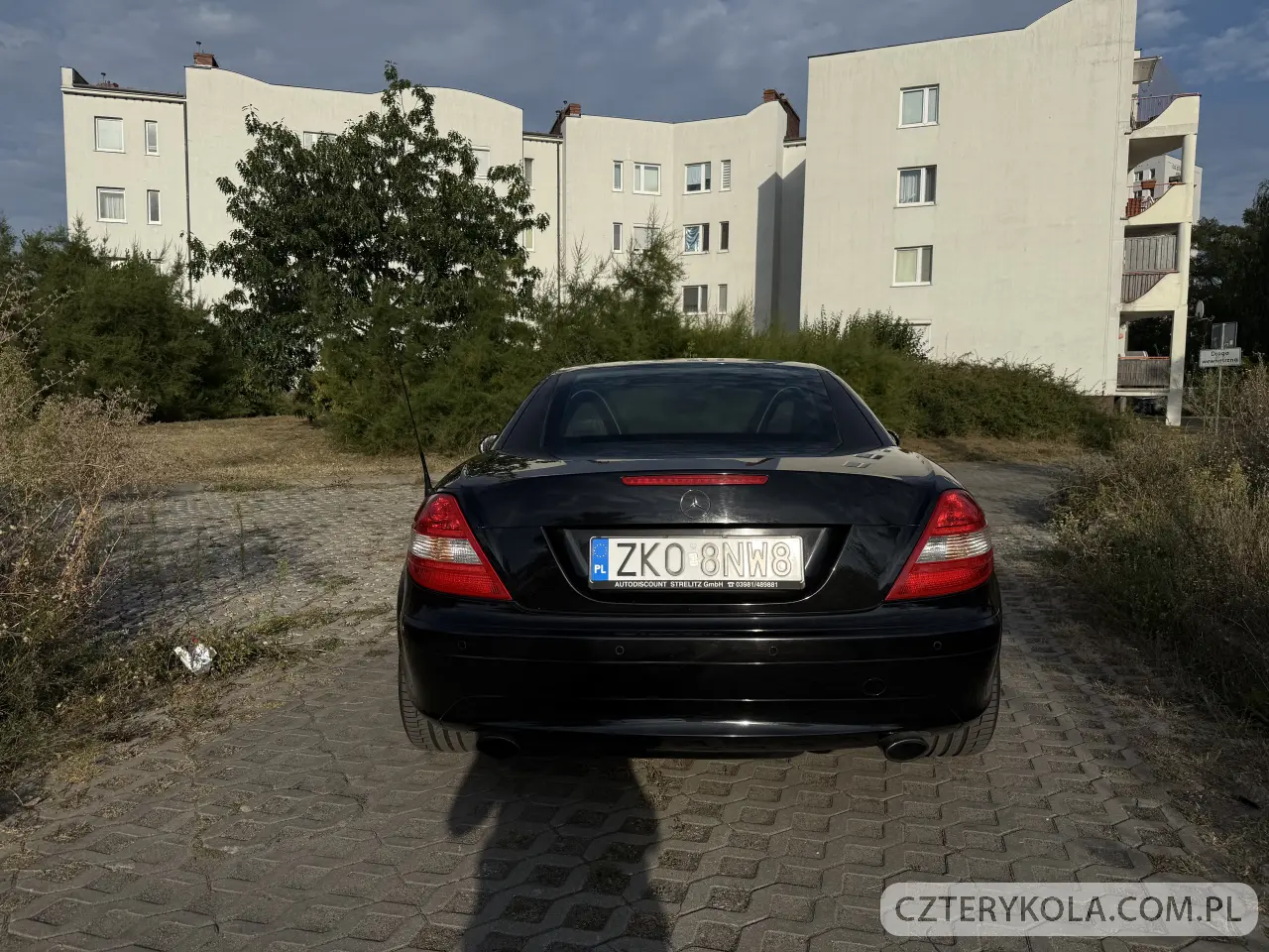 Mercedes-Benz- SLK- 2004 