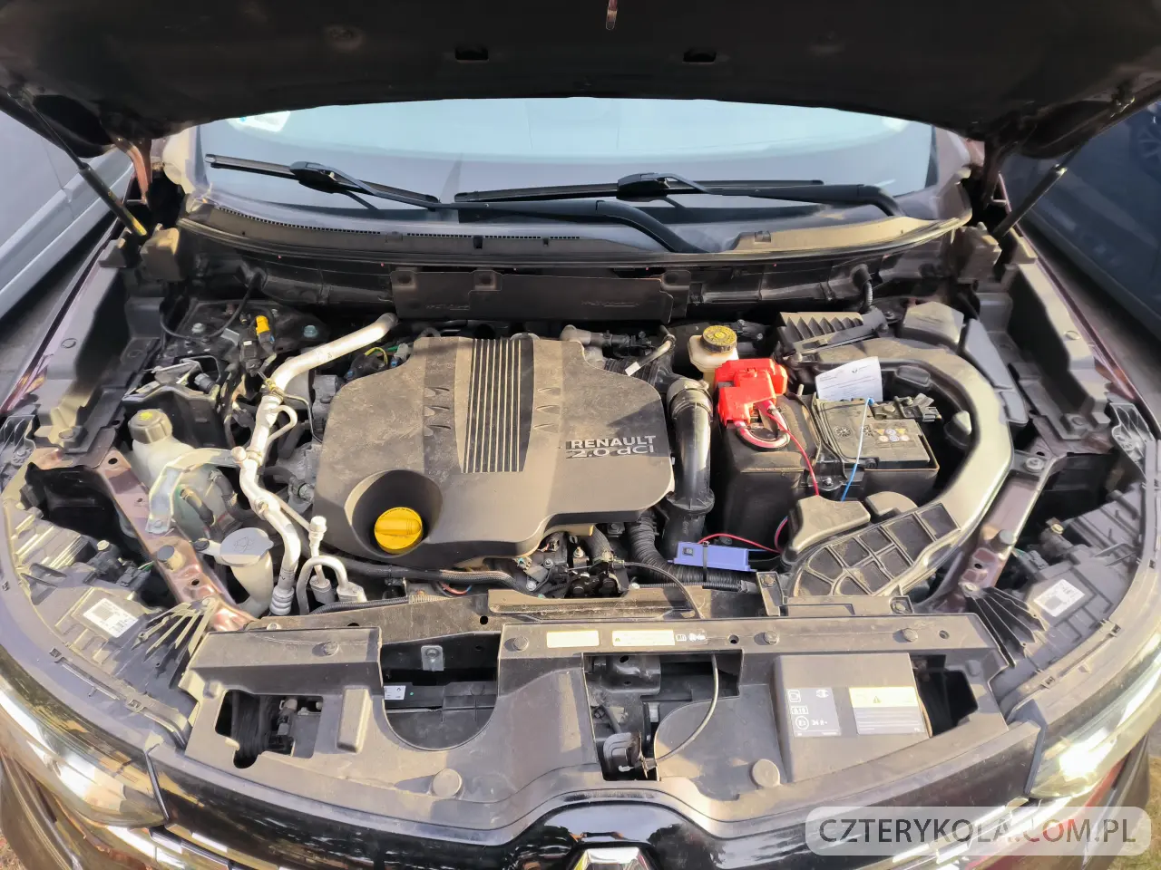 Renault- Koleos- 2020 