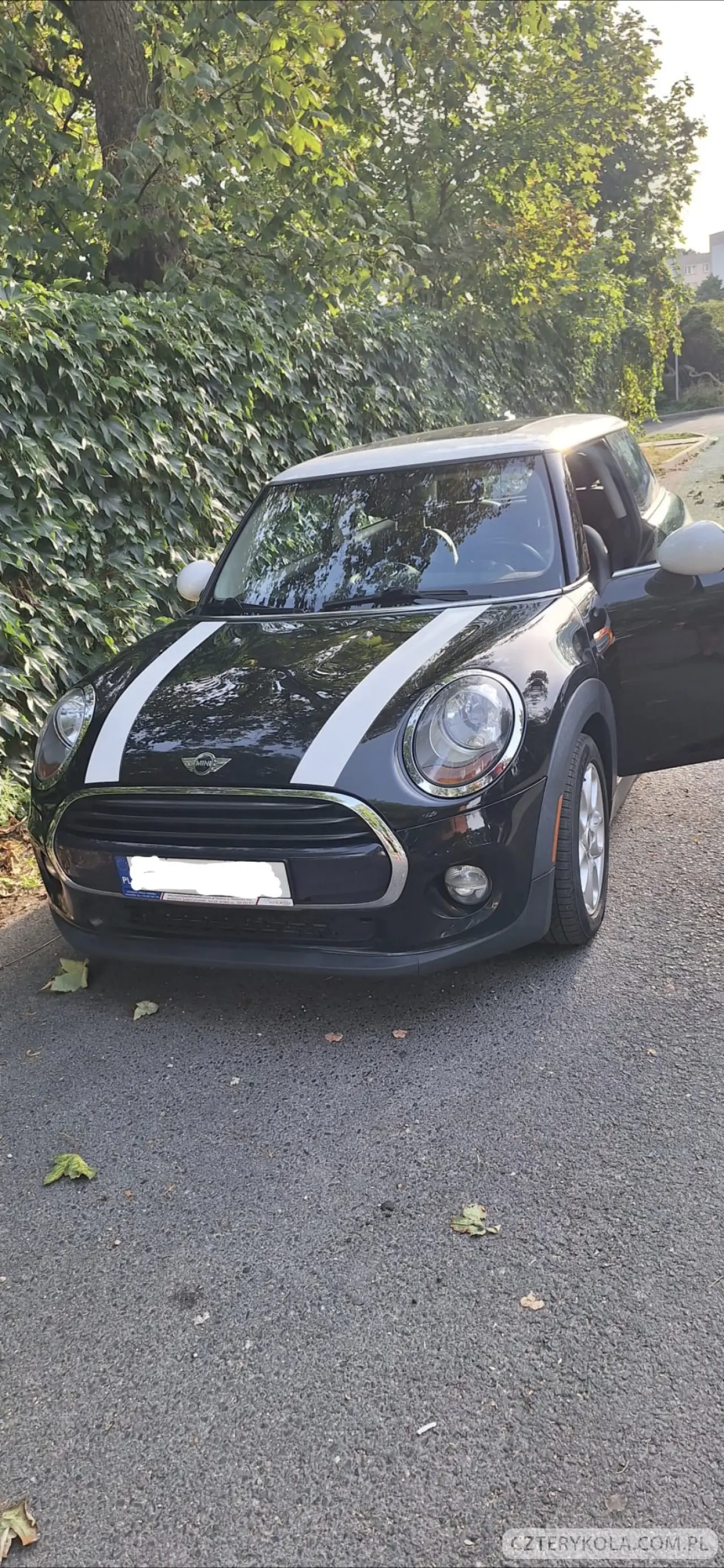 Mini- Inny- 2017 