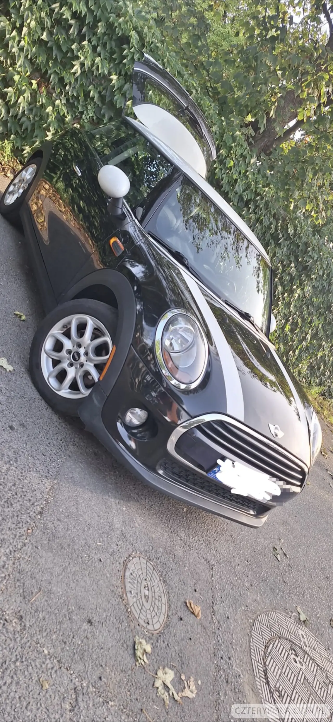 Mini- Inny- 2017 