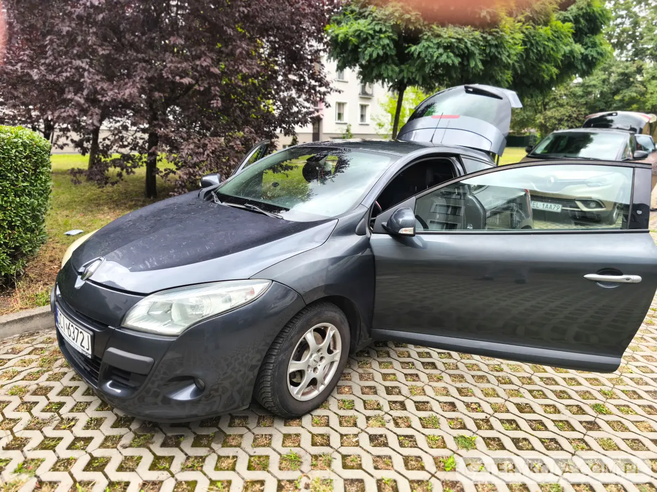 Renault- Megane- 2010 