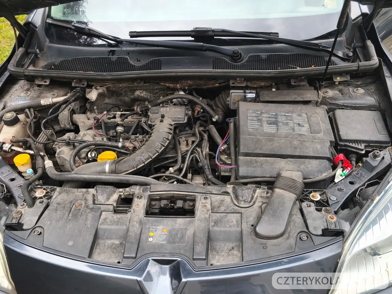 Renault- Megane- 2010 
