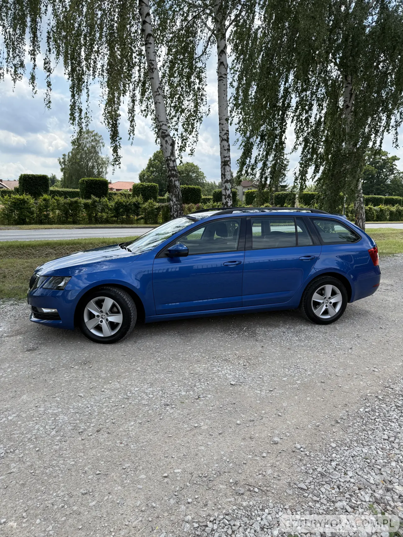 Skoda- Octavia- 2019 
