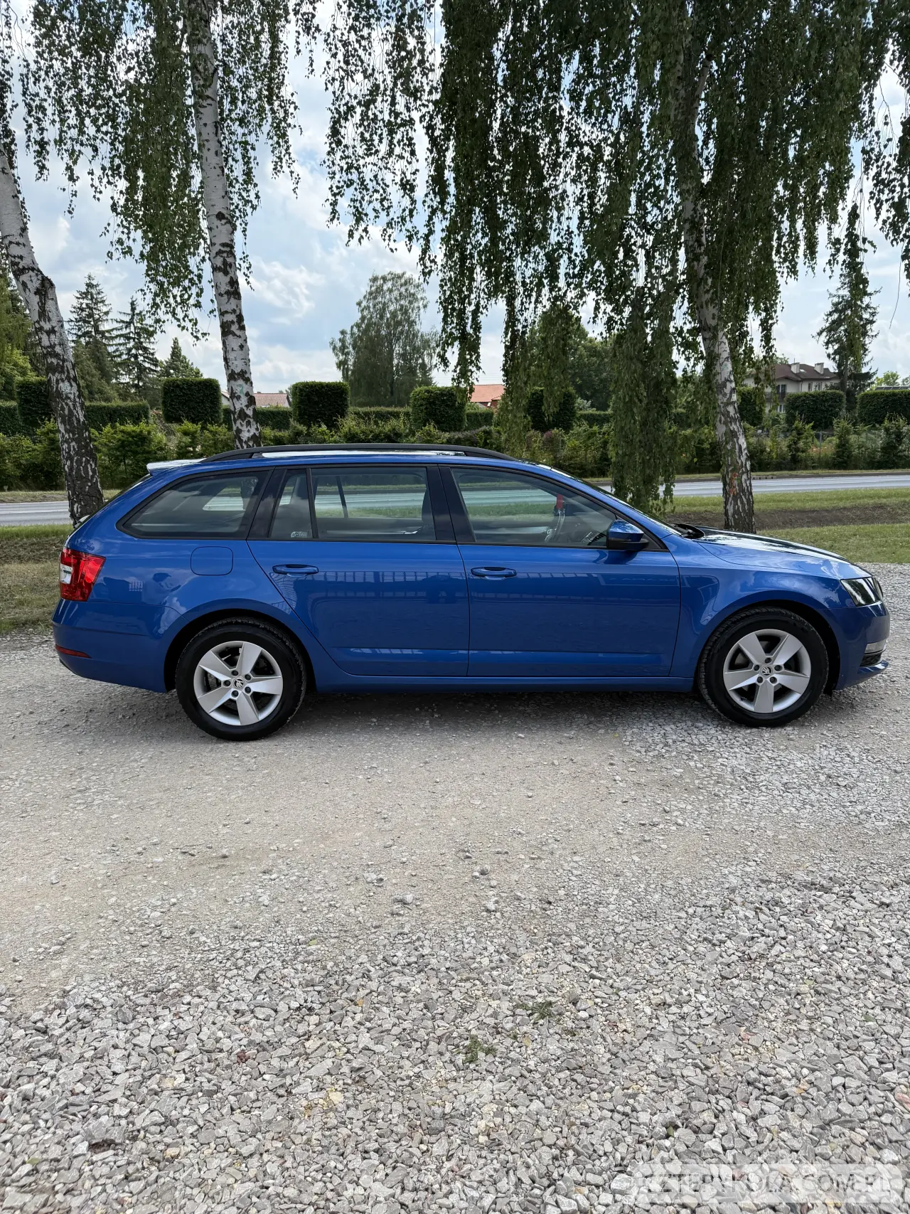 Skoda- Octavia- 2019 