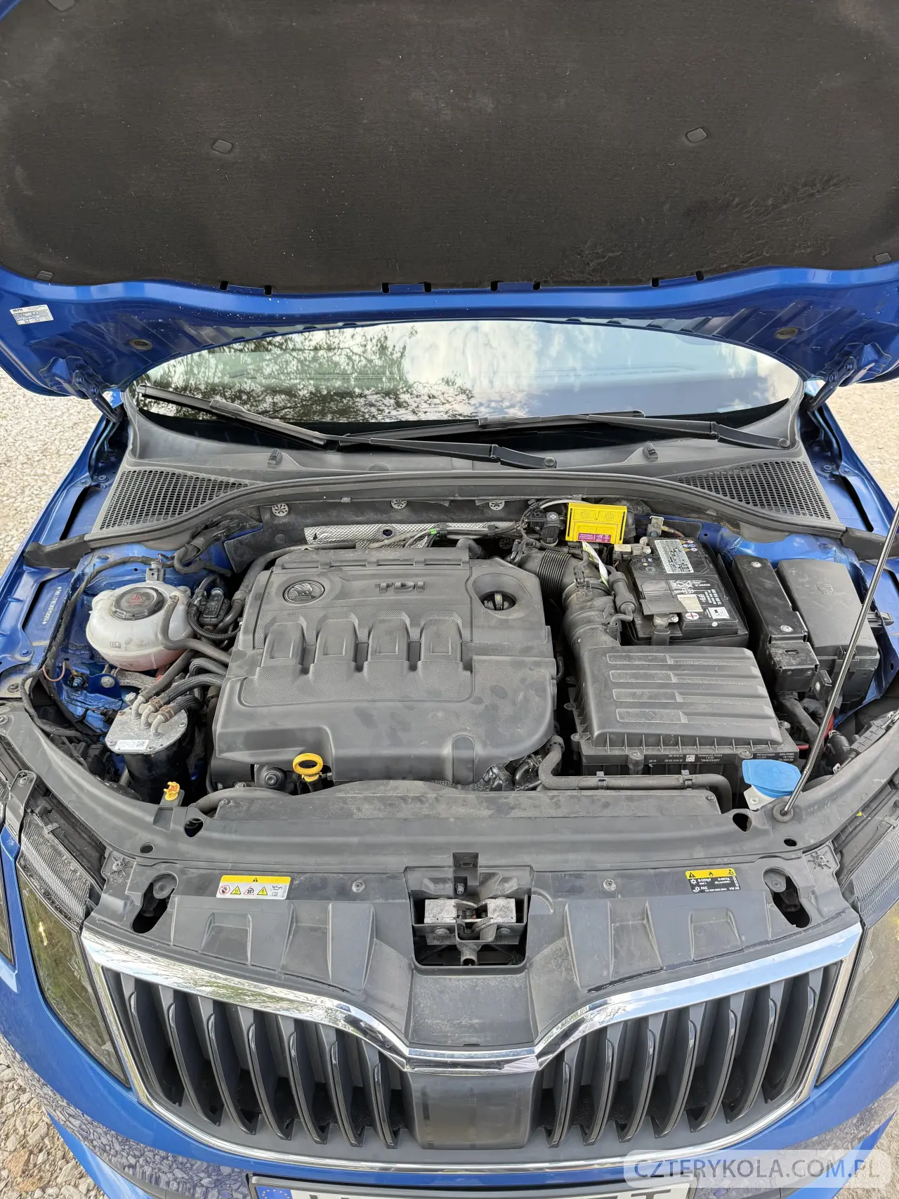 Skoda- Octavia- 2019 