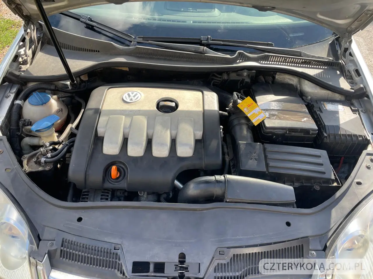 Volkswagen- Jetta- 2005 