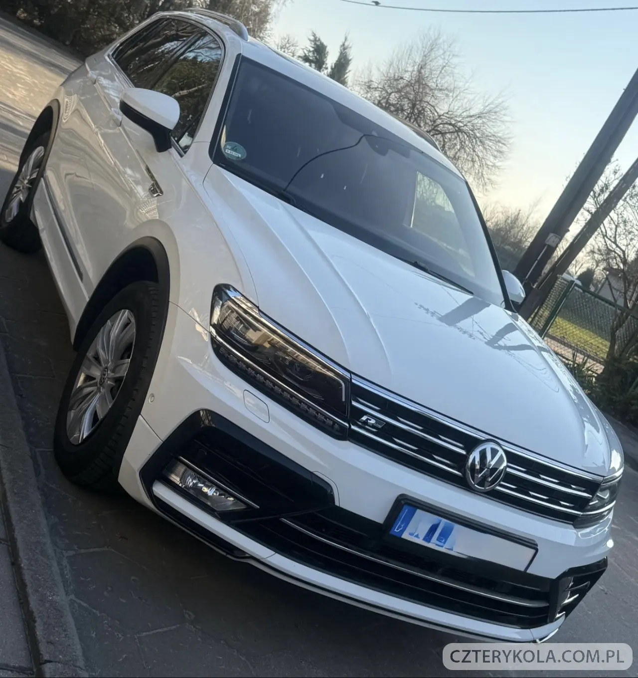 Volkswagen- Tiguan- 2017 