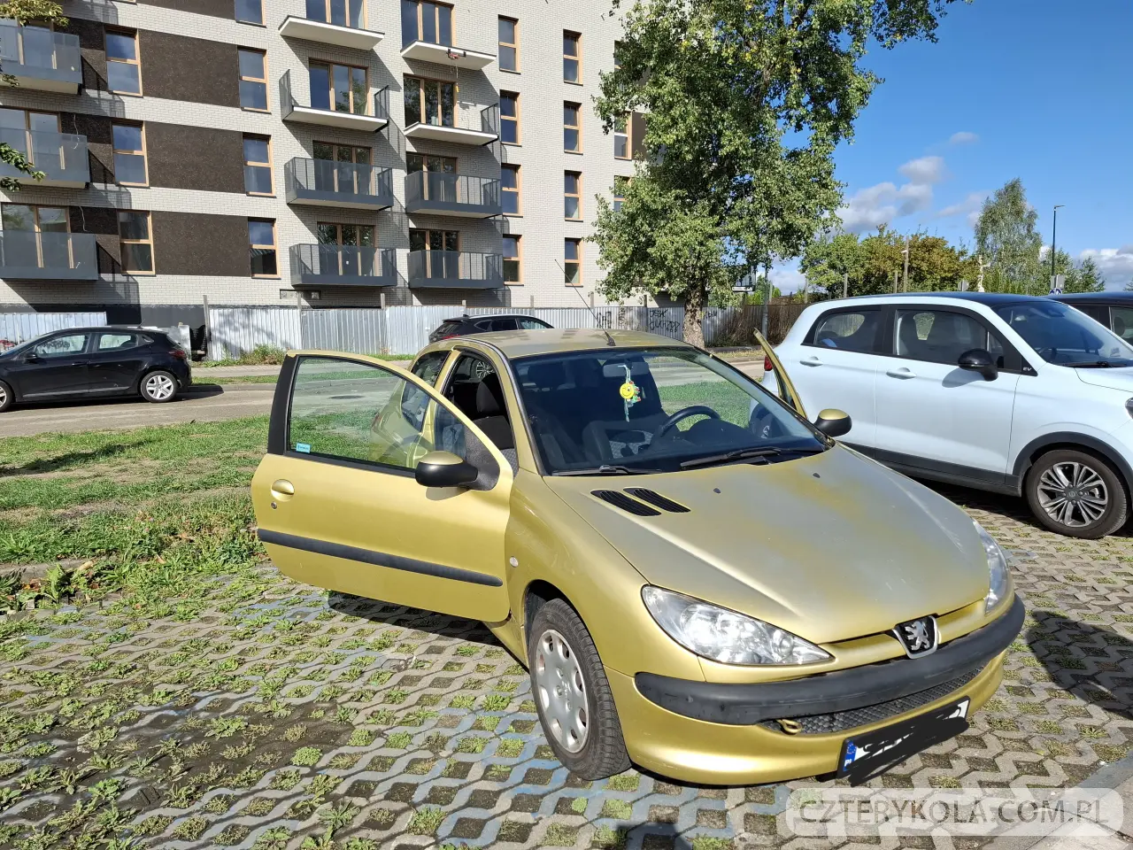Peugeot- 206- 2004 