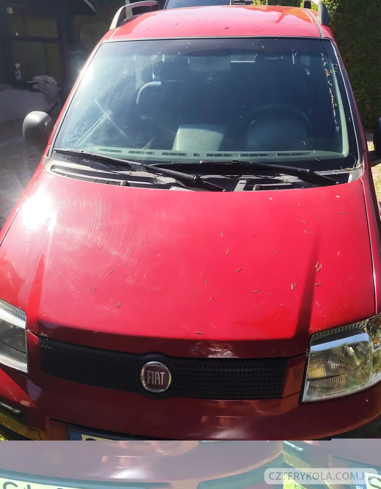 Fiat- Panda- 2011 